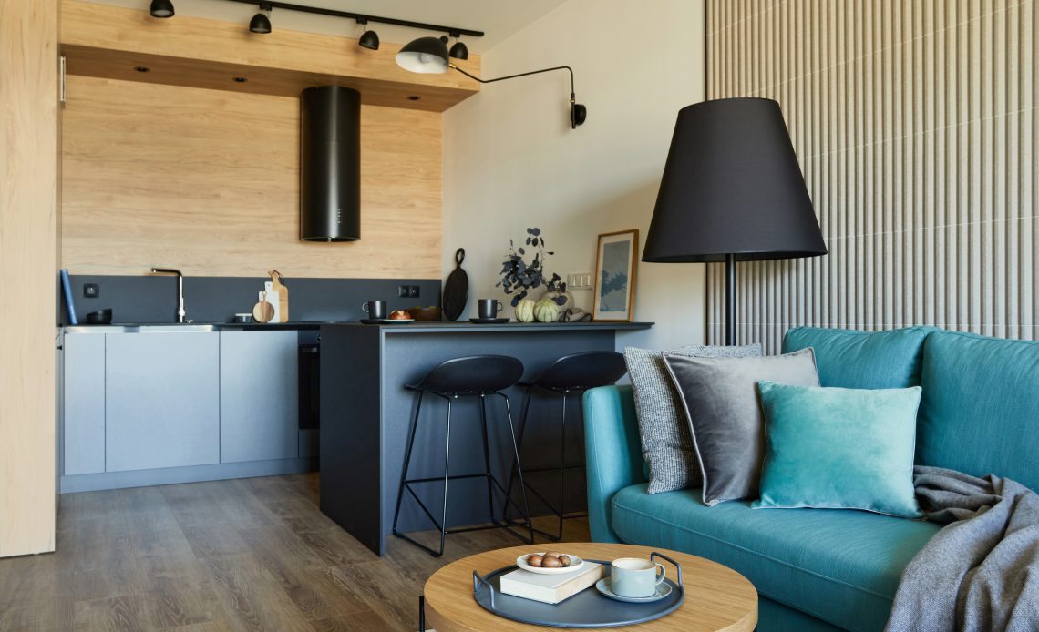 salon z aneksem kuchennym